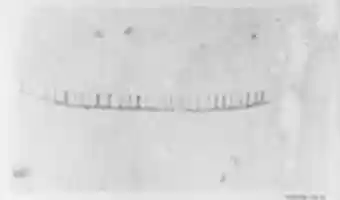 Free download Tiraz free photo or picture to be edited with GIMP online image editor