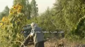 Free download Tj 1 free photo or picture to be edited with GIMP online image editor