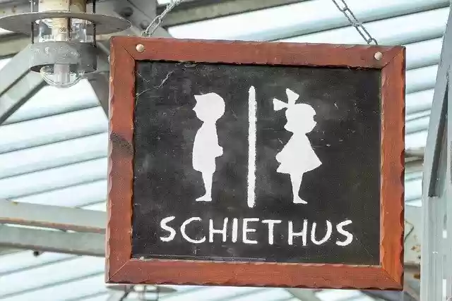 Free download Toilet Wc Funny -  free photo or picture to be edited with GIMP online image editor