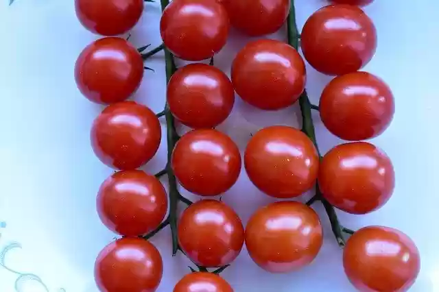 Free download Tomato Vegetables Food -  free photo or picture to be edited with GIMP online image editor