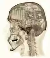 Free download top-10-transhuman-technologies-brain-chips free photo or picture to be edited with GIMP online image editor