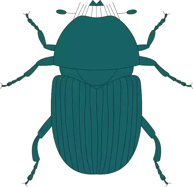 Free download Top View Green - Free vector graphic on Pixabay free illustration to be edited with GIMP free online image editor