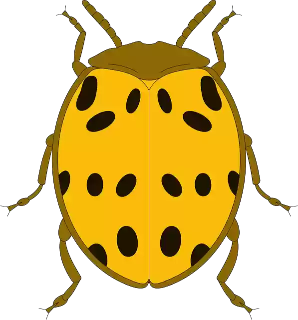 Free download Top View Yellow - Free vector graphic on Pixabay free illustration to be edited with GIMP free online image editor