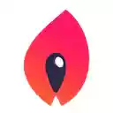 Torch  screen for extension Chrome web store in OffiDocs Chromium