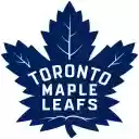 Toronto Maple Leafs Chrome Extension  screen for extension Chrome web store in OffiDocs Chromium