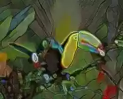 Free download Toucan free photo or picture to be edited with GIMP online image editor