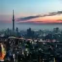 Towers at Night  screen for extension Chrome web store in OffiDocs Chromium