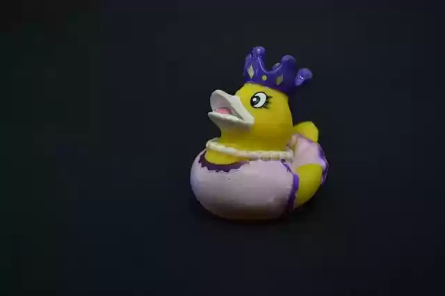 Free download Toy Duck Toys -  free photo or picture to be edited with GIMP online image editor