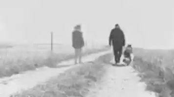 Free download Trabajo De Enfoque 319 free photo or picture to be edited with GIMP online image editor