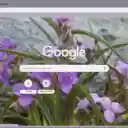 Tradescantia  screen for extension Chrome web store in OffiDocs Chromium