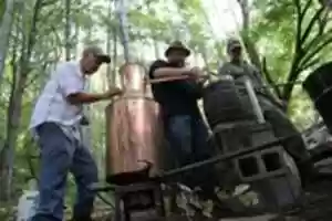 Free download Trafiquants Dalcool free photo or picture to be edited with GIMP online image editor