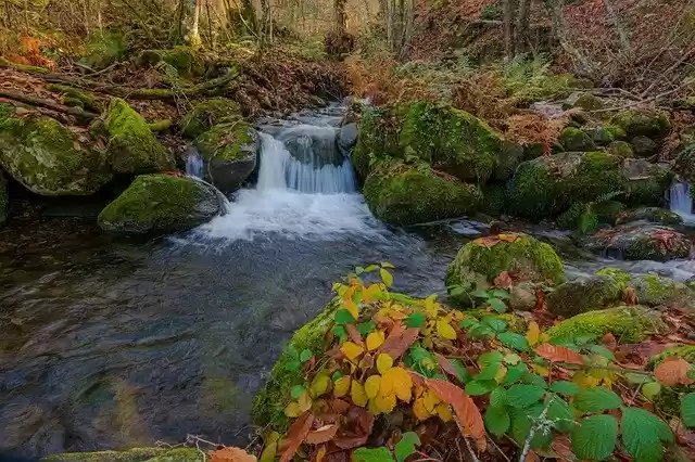 Free download Trails Walk Autumn Landscape -  free free photo or picture to be edited with GIMP online image editor