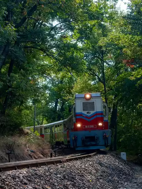 Free download train forest nature autumn retro free picture to be edited with GIMP free online image editor