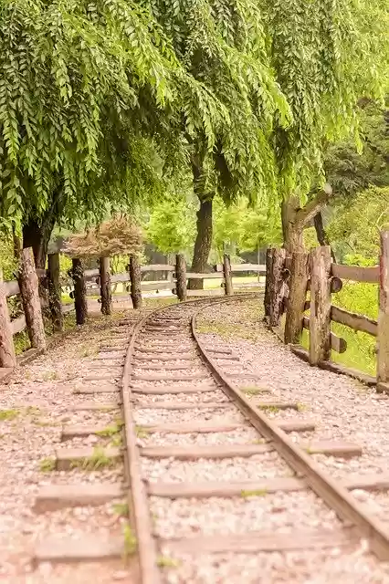 Free download Train Tracks Tree Natural Nami -  free free photo or picture to be edited with GIMP online image editor