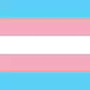Trans Flag  screen for extension Chrome web store in OffiDocs Chromium