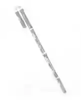Free download Transverse Flute in C free photo or picture to be edited with GIMP online image editor