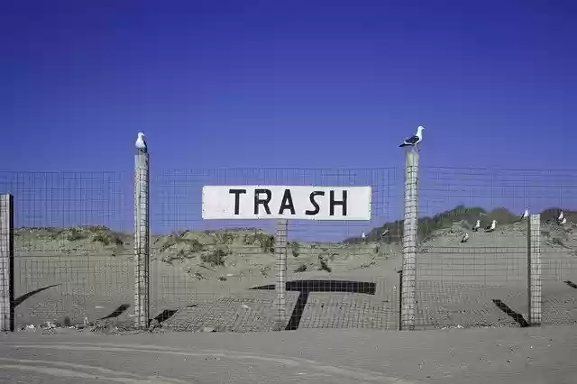 Free download Trash Seagulls Sign -  free photo or picture to be edited with GIMP online image editor