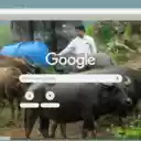 Trau  screen for extension Chrome web store in OffiDocs Chromium