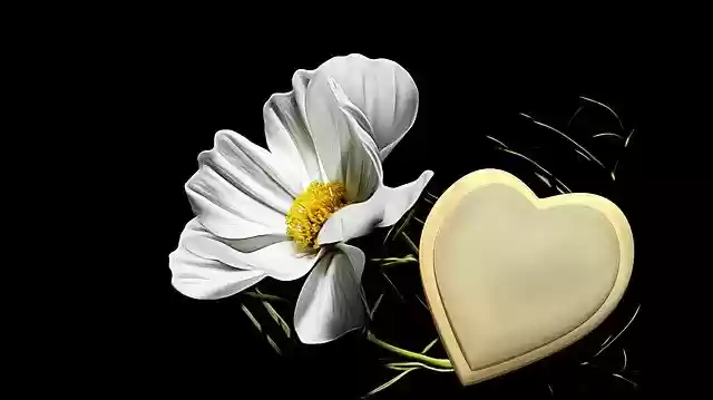 Free download trauerkarte golden heart grief hope free picture to be edited with GIMP free online image editor