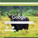 Trau Rung  screen for extension Chrome web store in OffiDocs Chromium