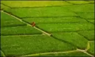 Free download Travel Bangladesh Wonderful Chill Out Of Bangladesh, The Land Of Beauty ( Part 1) Video free photo or picture to be edited with GIMP online image editor