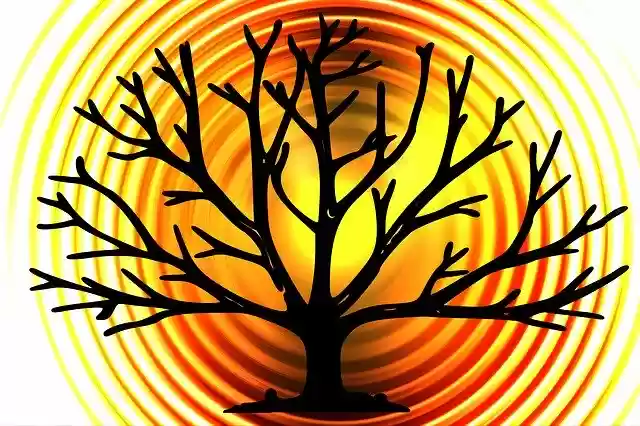 Free download Tree Branch Aesthetic -  free illustration to be edited with GIMP free online image editor