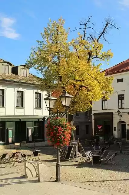 Free download Tree City The Market -  free photo or picture to be edited with GIMP online image editor