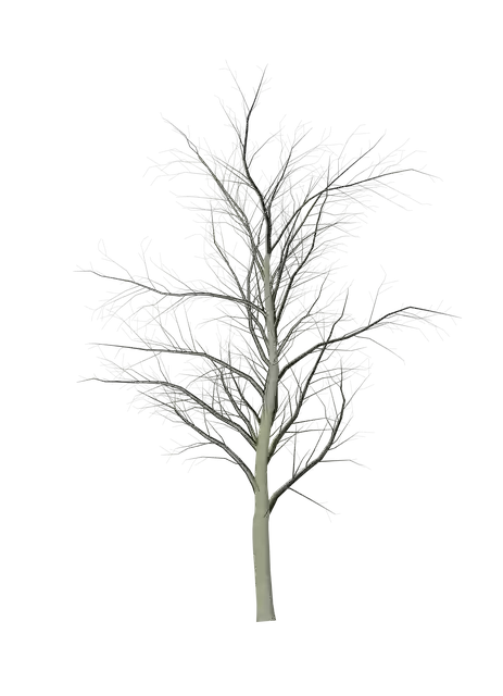 Free download Tree Dead -  free illustration to be edited with GIMP free online image editor