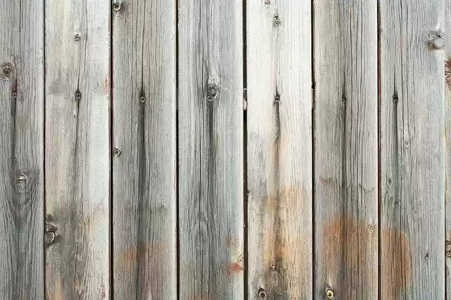 Free download Tree Fence Texture -  free photo or picture to be edited with GIMP online image editor