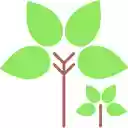 Tree First Bookmarks  screen for extension Chrome web store in OffiDocs Chromium