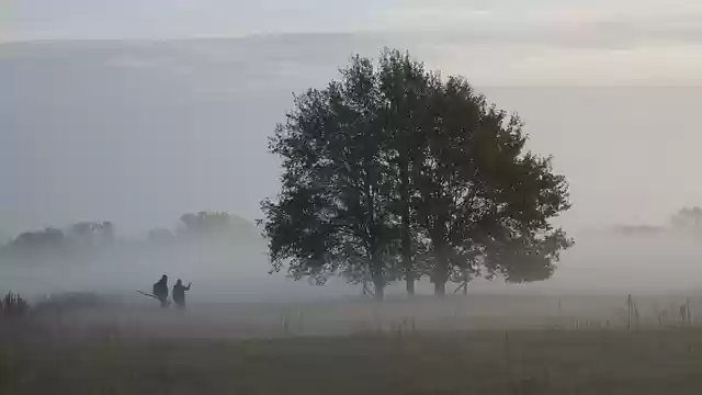 Free download tree fog nature landscape people free picture to be edited with GIMP free online image editor