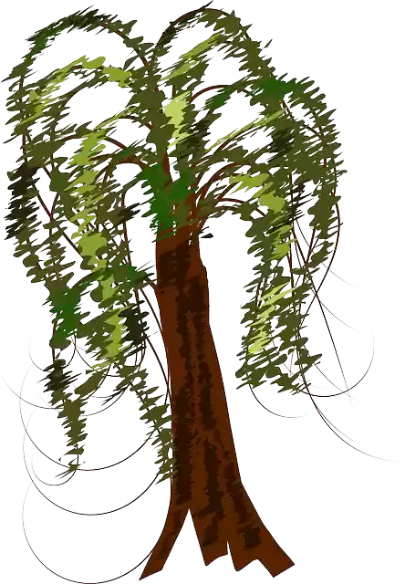 Free download Tree Leaves Trunk - Free vector graphic on Pixabay free illustration to be edited with GIMP free online image editor