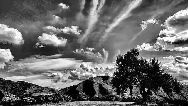 Free download Tree Mountains Sky -  free photo or picture to be edited with GIMP online image editor