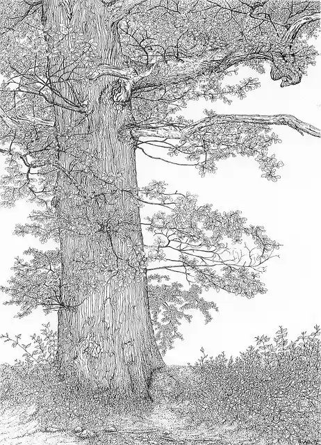 Free download Tree Nature Forest free photo template to be edited with GIMP online image editor