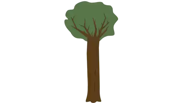 Free download Tree Nature Wood -  free photo or picture to be edited with GIMP online image editor