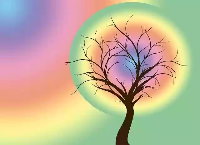 Téléchargement gratuit du modèle photo gratuit Tree Rainbow Colorful à éditer avec l'éditeur d'images en ligne GIMP