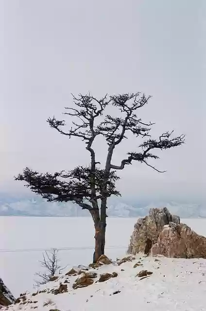 Free download tree rock formation winter snow free picture to be edited with GIMP free online image editor
