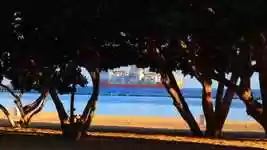 Download gratuito Trees Beach Ship video gratuito da modificare con l'editor video online OpenShot