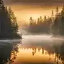 TREES BY THE LAKE THEME  screen for extension Chrome web store in OffiDocs Chromium