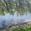 Trees cast shadows by the lake  screen for extension Chrome web store in OffiDocs Chromium