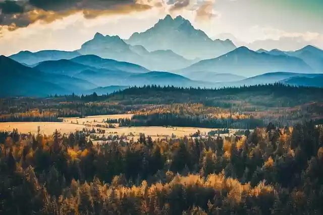 Free download trees forest mountains fog clouds free picture to be edited with GIMP free online image editor