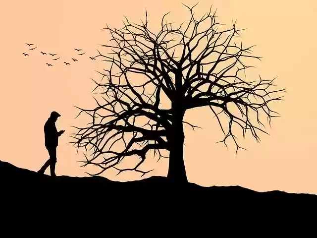 Free download Tree Silhouette Nature -  free illustration to be edited with GIMP free online image editor