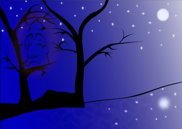 Free download Trees Night Moon - Free vector graphic on Pixabay free illustration to be edited with GIMP free online image editor
