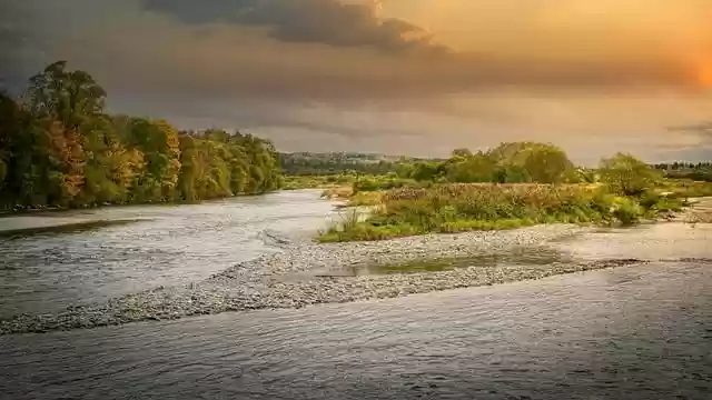 Free download trees riverbank flow isar valley free picture to be edited with GIMP free online image editor