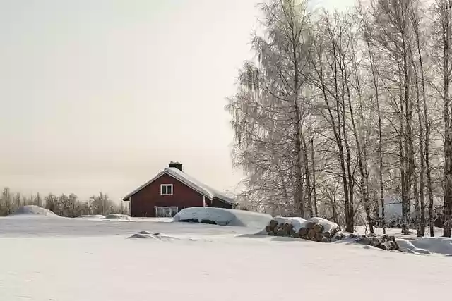 Free download trees snow field farm winter cold free picture to be edited with GIMP free online image editor