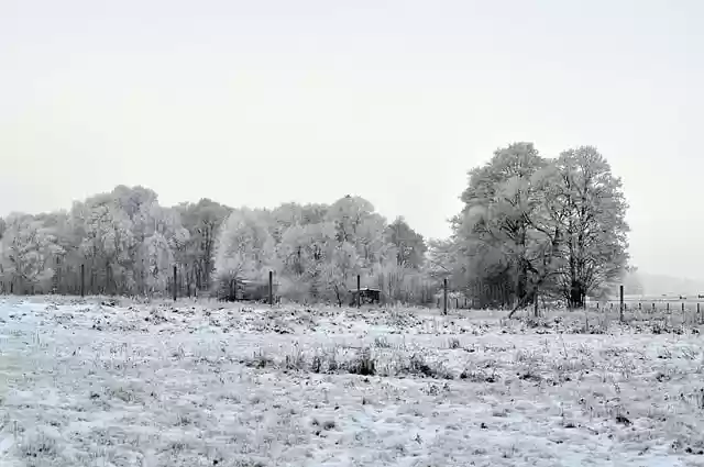 Free download trees snow frost landscape forest free picture to be edited with GIMP free online image editor