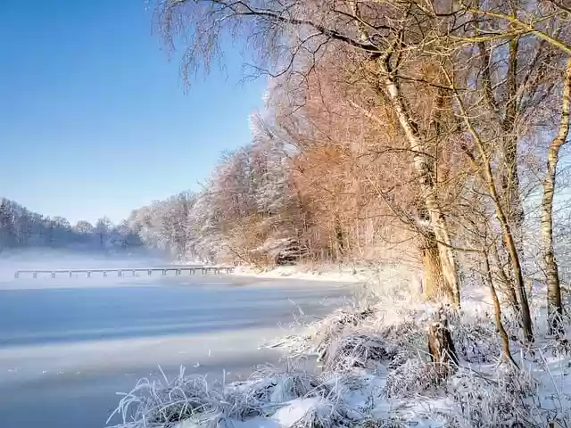 Free download trees snow lake pond light nature free picture to be edited with GIMP free online image editor