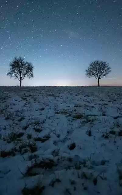 Free download trees stars snow night free picture to be edited with GIMP free online image editor