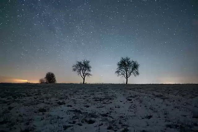 Free download trees stars snow night night sky free picture to be edited with GIMP free online image editor