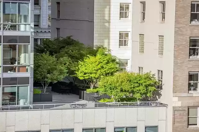 Free download Trees Terrace City -  free photo or picture to be edited with GIMP online image editor